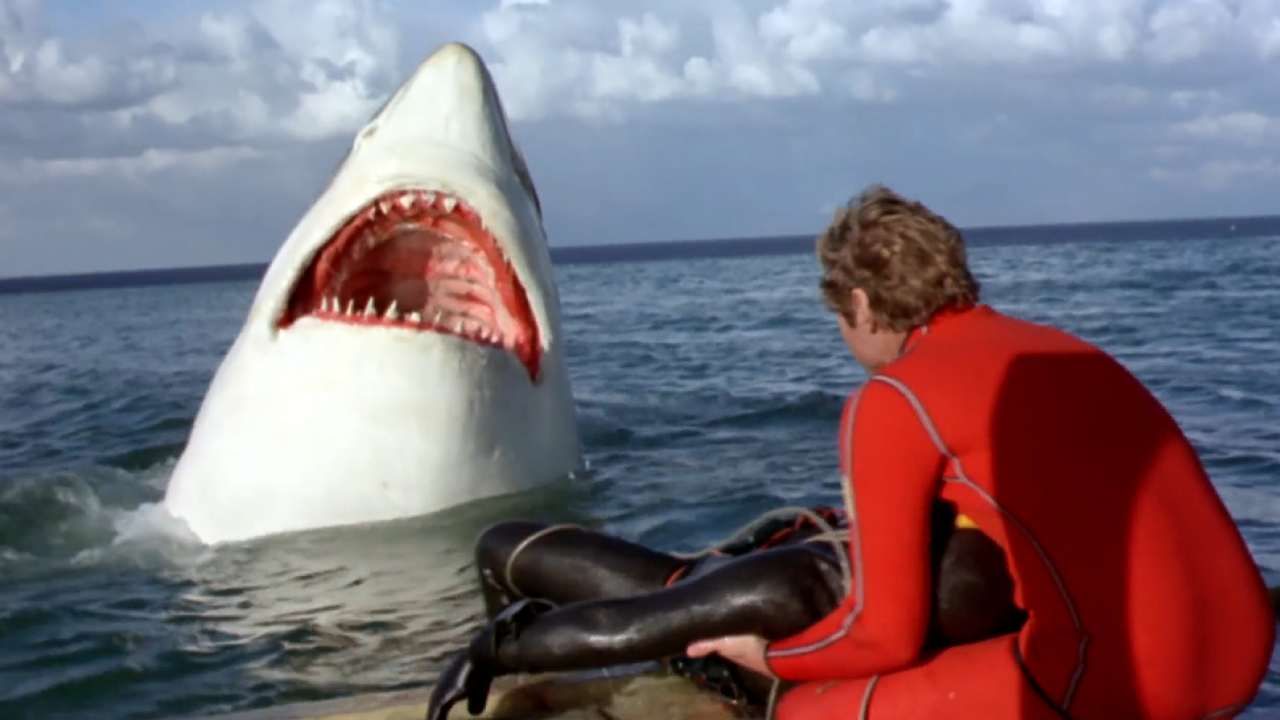 Un requin un peu figé