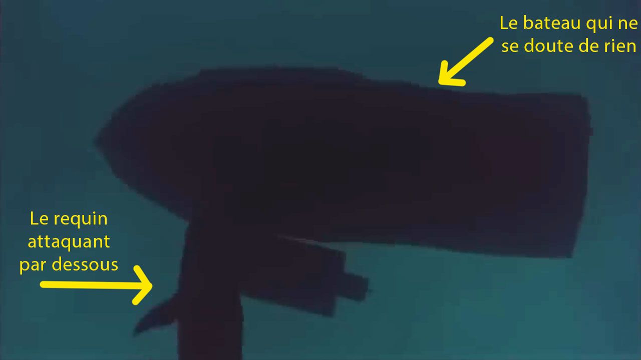 Le requin-torpille (littéralement)
