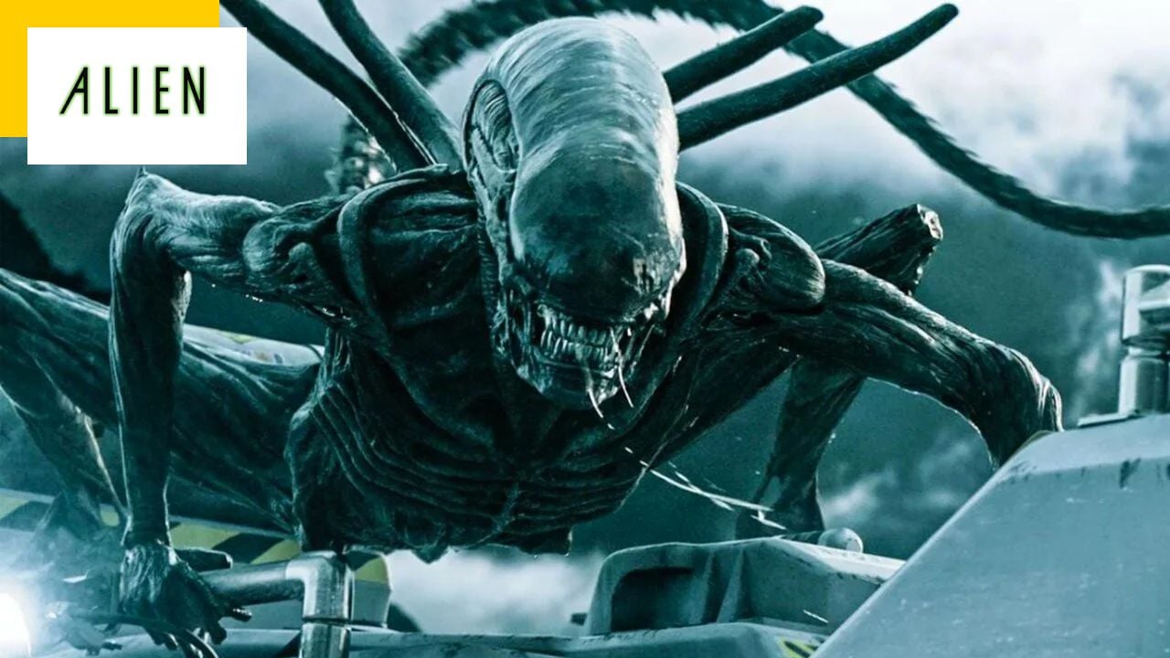 Alien: the filming of a new movie begins, we know the story, the director and the actors