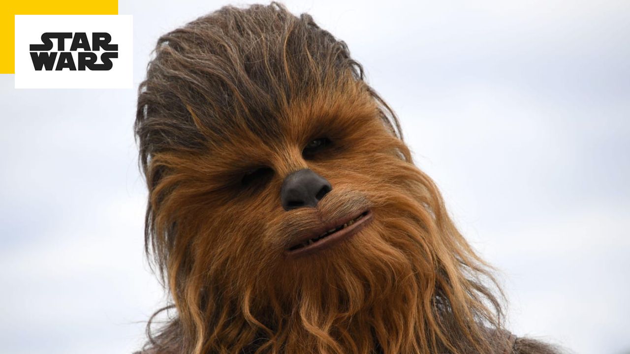 Star Wars: The First Live-Action Wookiee Jedi Will Be in This Series!