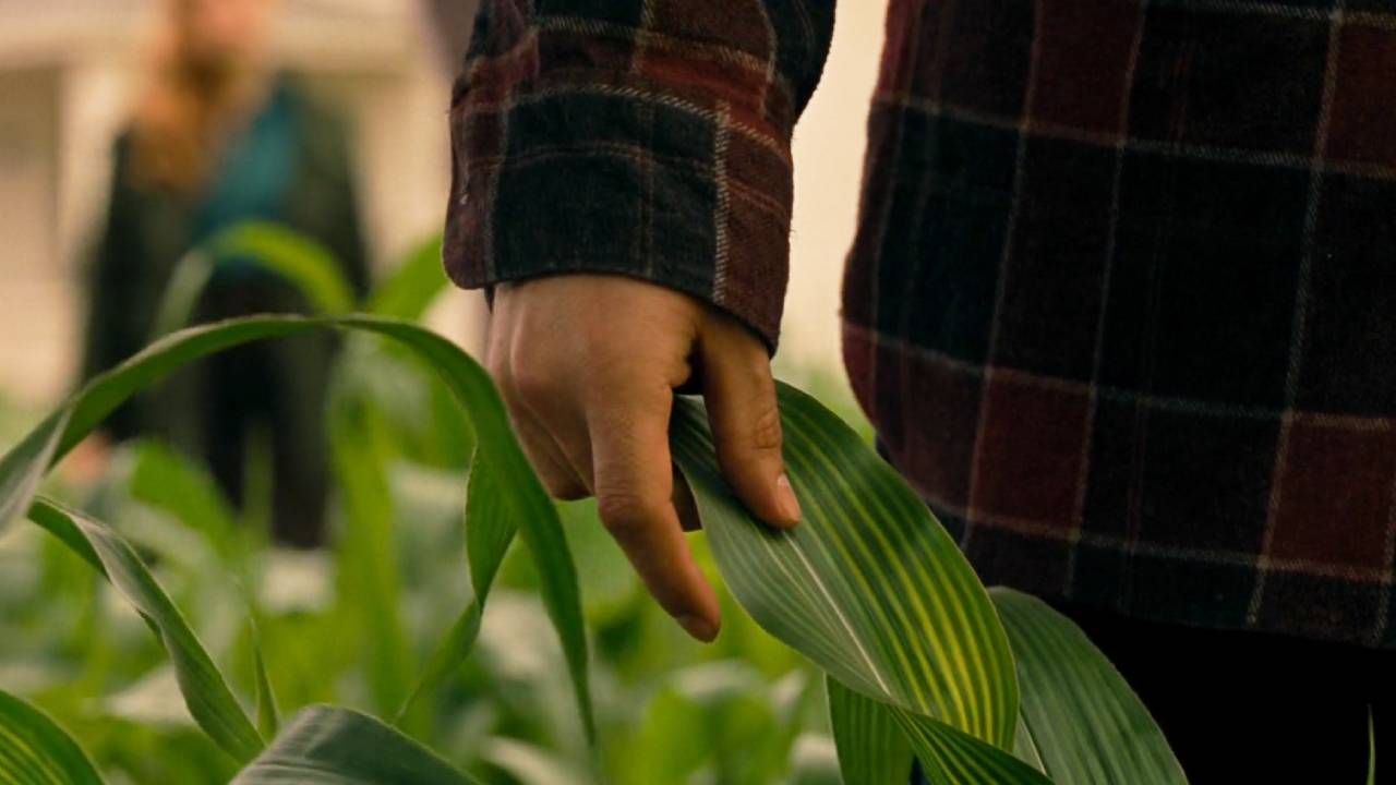 8 years ago, the last scene of this movie was full of promises but all the fans were frustrated 8 years ago, the last scene of this movie was full of promises but all the fans were frustrated
