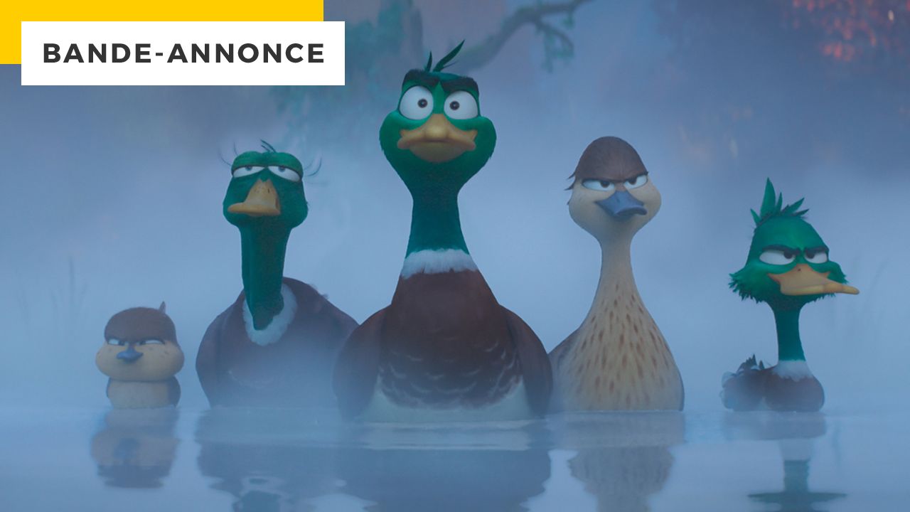 Migration trailer: After Super Mario, the French take control of the Christmas Illumination movie!