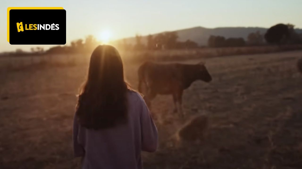 The best movie of the week is “Soulful and Energetic”