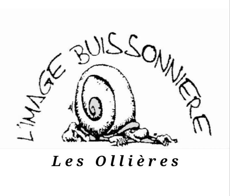 Logo L'Image Buissonnière