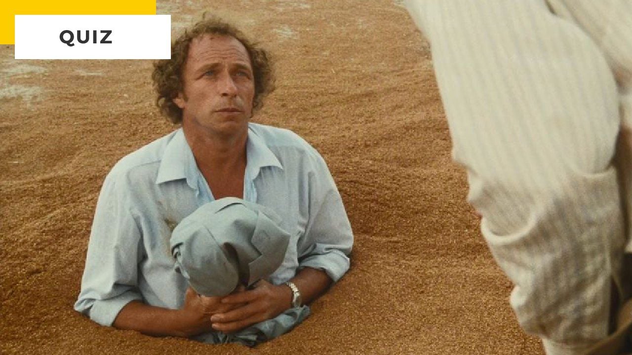 Movie Quiz: Are you a fan of French comedies?  Confirm it!