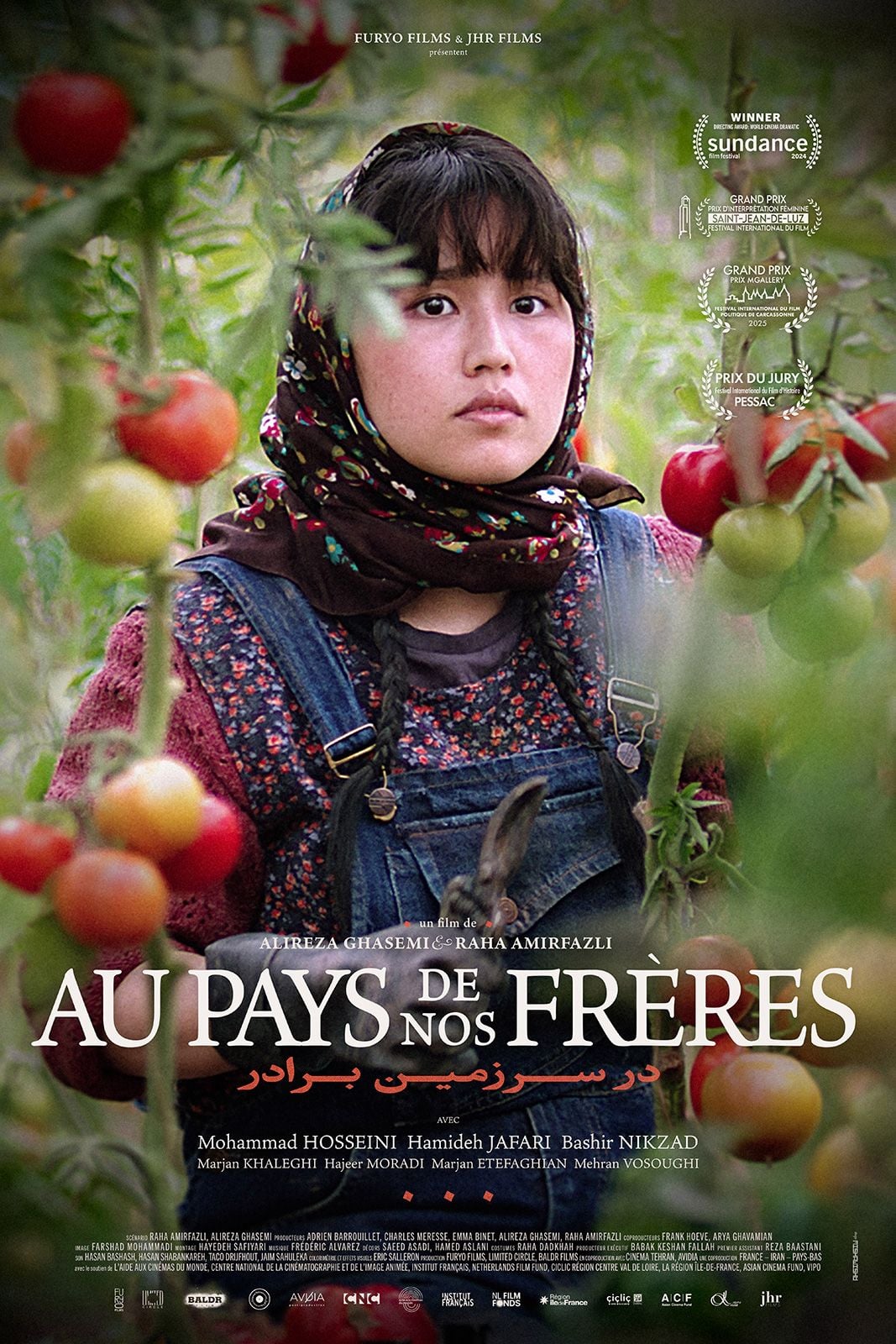 Au pays de nos frères streaming gratuit