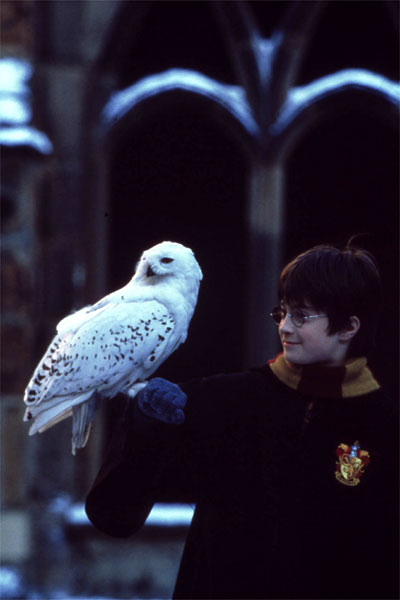Photo du film Harry Potter à l'école des sorciers - Photo 32 sur 35