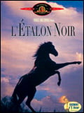 L'Etalon noir streaming