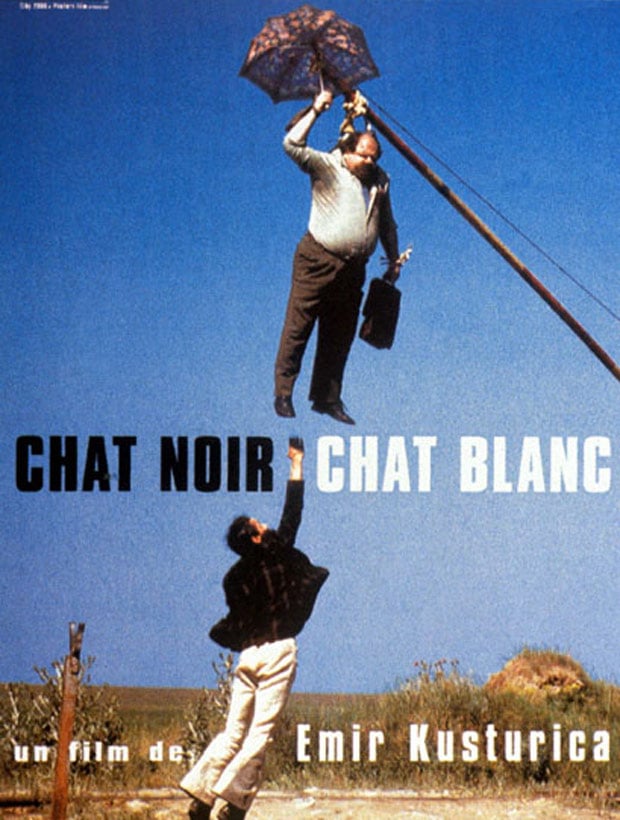 Chat noir, chat blanc streaming