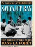 Des jours et des nuits dans la forêt streaming fr
