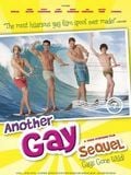 Another Gay Sequel: Gays Gone Wild! streaming fr