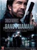 Le Sang du diamant streaming vf gratuit