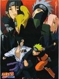 Naruto Shippūden 2: Les Liens streaming fr