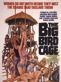 The Big Bird Cage