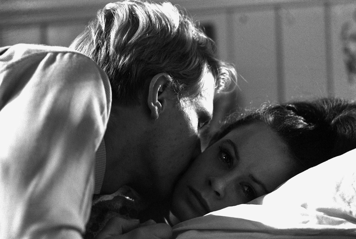 Horaires Des Séances Du Film The Servant Photo du film The Servant - Photo 6 sur 7 - AlloCiné