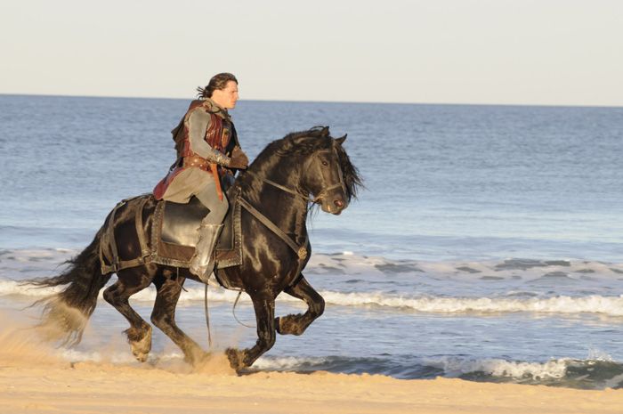 Photo du film Prince Killian et le Trésor des Templiers - Photo 6 sur