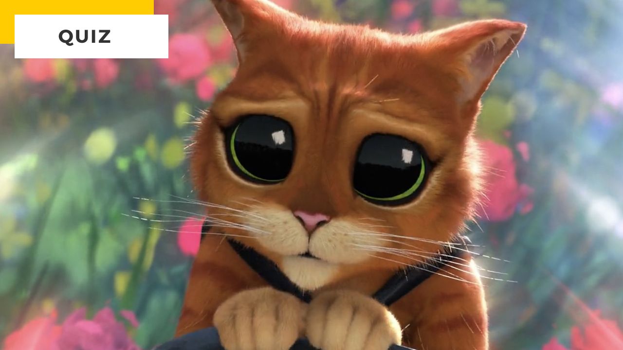 Puss in Boots 2: Only a true cat fan will have any good in this quiz