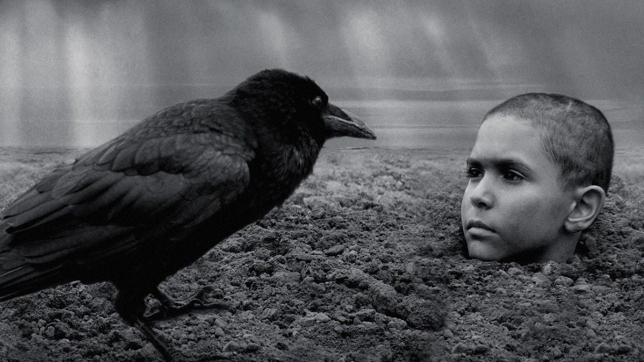 Painted Bird on FILMO: What is this shocking film about the award-winning Venice Film Festival 2019 with Harvey Keitel?