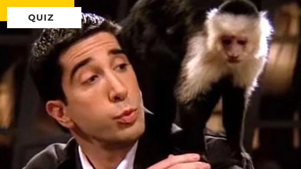 Netflix Quiz: In Which Series Do These Animals Appear?
