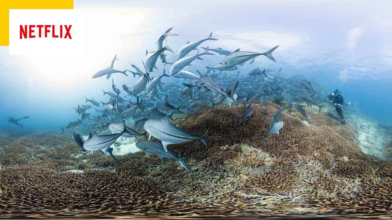 Netflix: Destroying Global Warming in a Powerful and Essential Documentary
