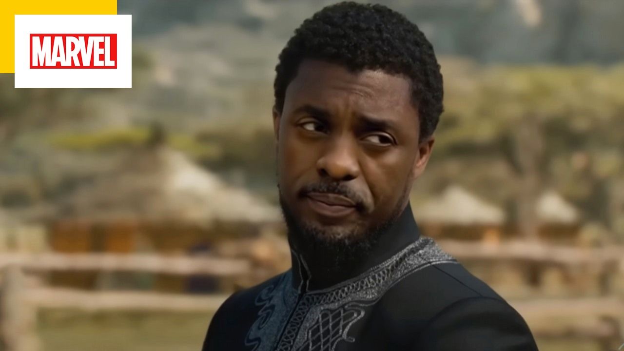 Black Panther: Idris Elba replaces Chadwick Bosman in an incredibly deep fake