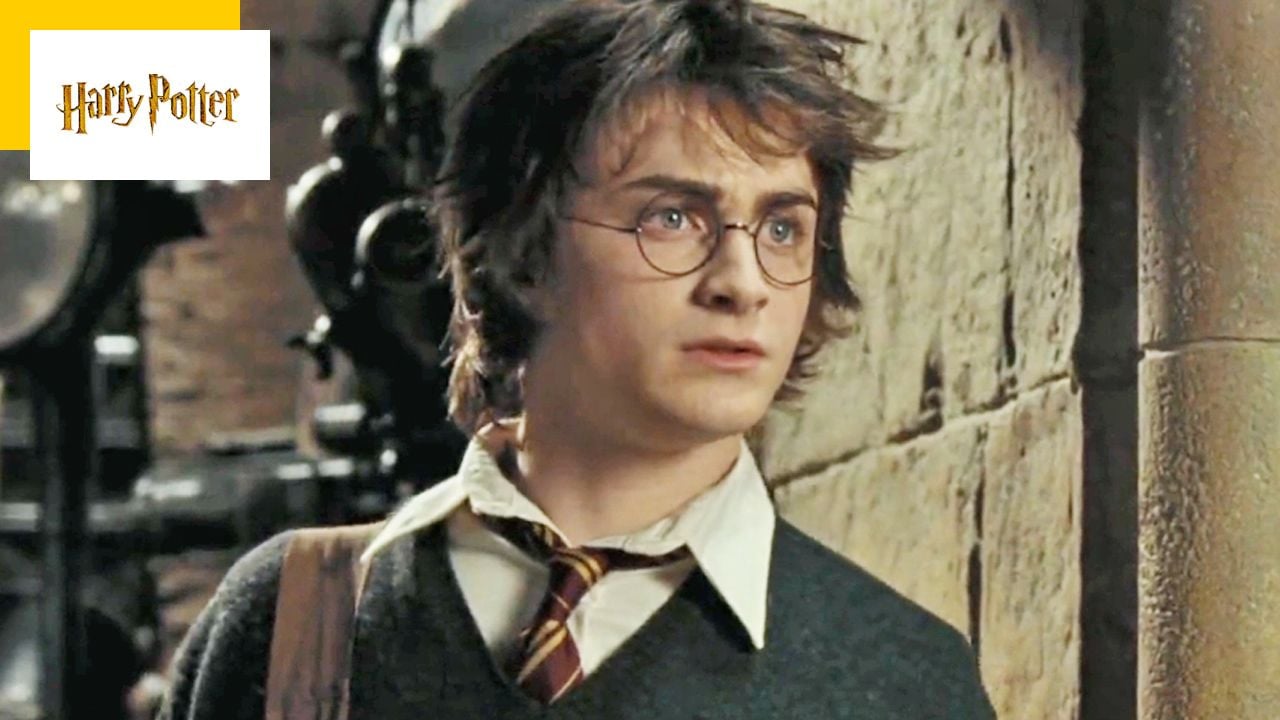 Harry Potter: Why Was This Character Ignored By The Movies?