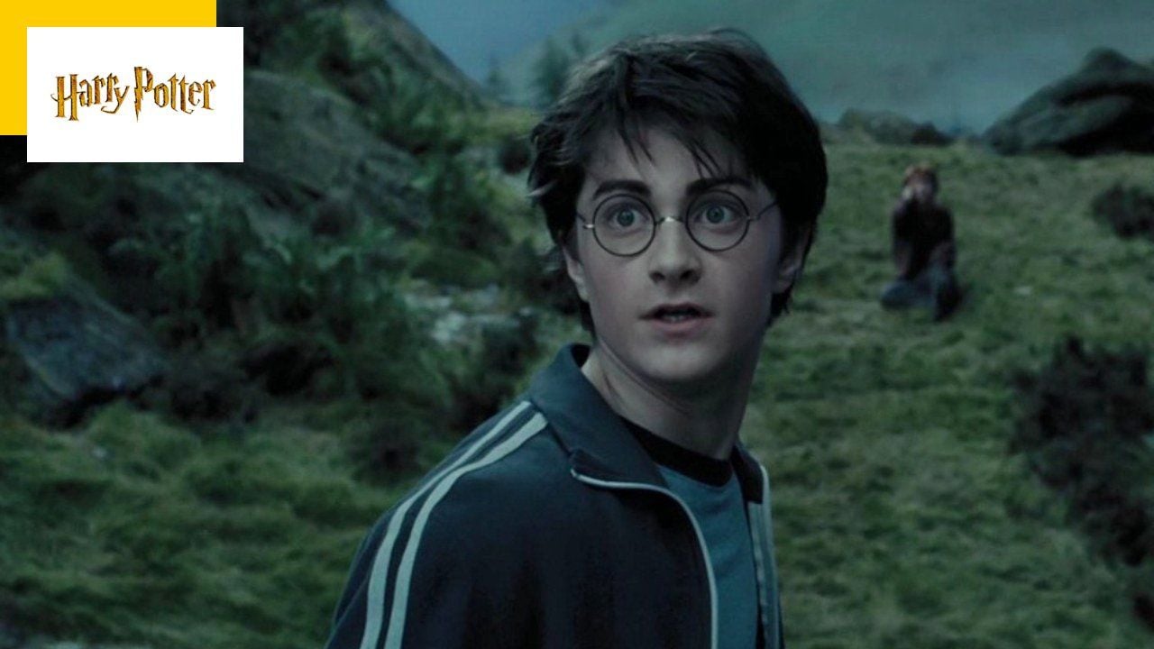 Before Daniel Radcliffe, there was another Harry Potter… and you’ve never heard of it!