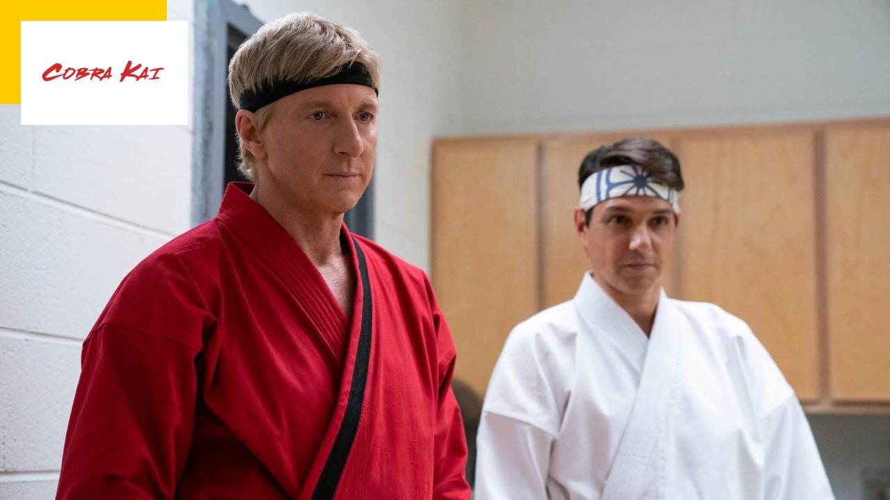 Cobra Kai on Netflix: Where to watch karate kids movies again? Cobra Kai on Netflix: Where to watch karate kids movies again?