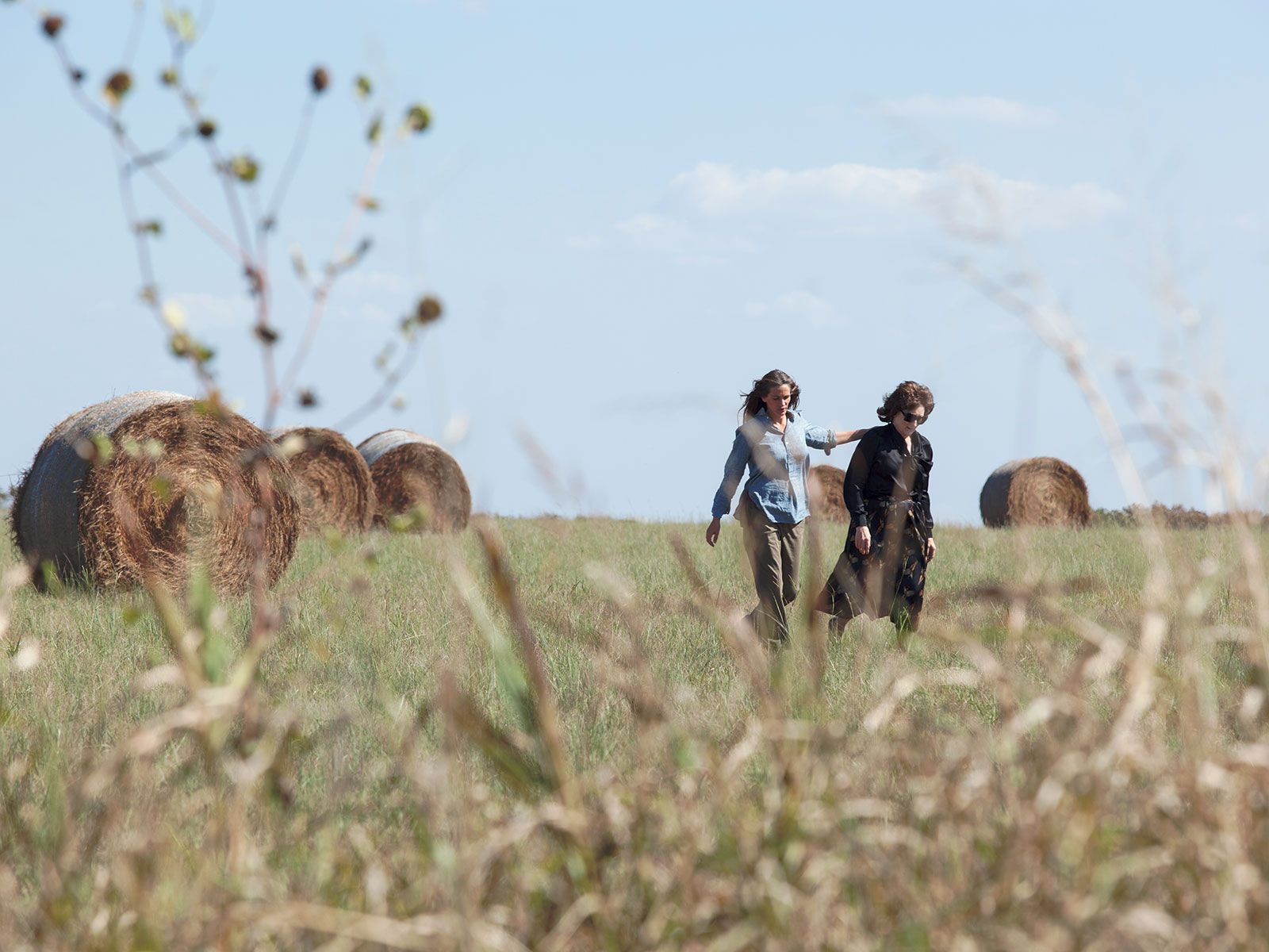 Photo du film Un été à Osage County - Photo 3 sur 16 - AlloCiné