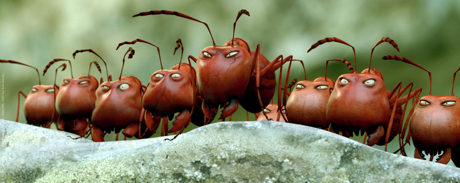 Minuscule La Vallée Des Fourmis Perdues Streaming Vf Photo du film Minuscule - La vallée des fourmis perdues - Photo 17 sur