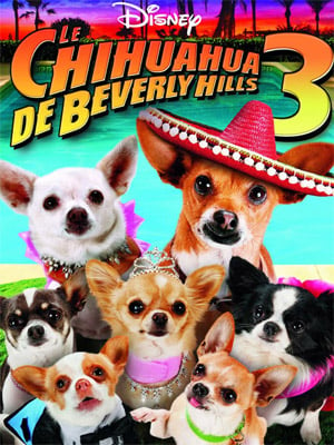 Le Chihuahua de Beverly Hills 3 : Viva La Fiesta ! streaming