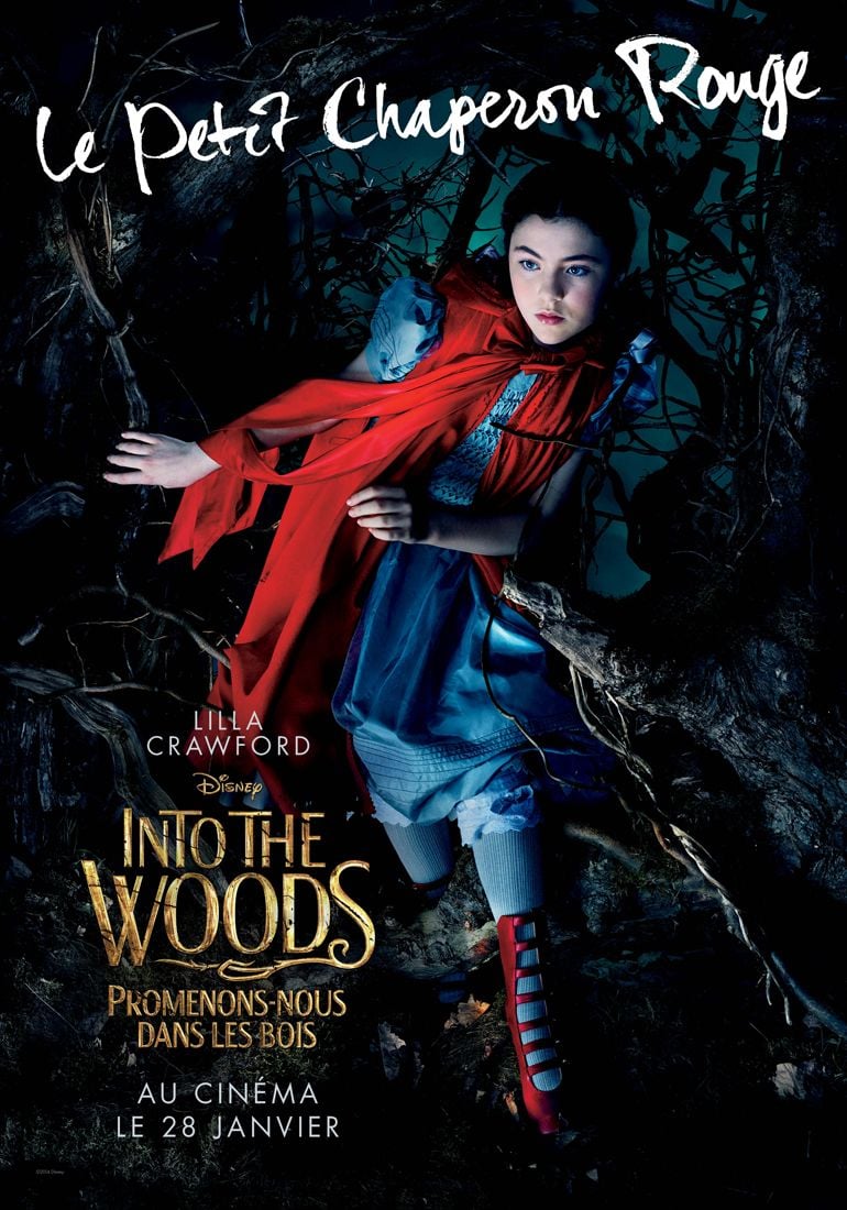 Promenons Nous Dans Les Bois Film Disney Affiche du film Into the Woods, Promenons-nous dans les bois - Photo 38