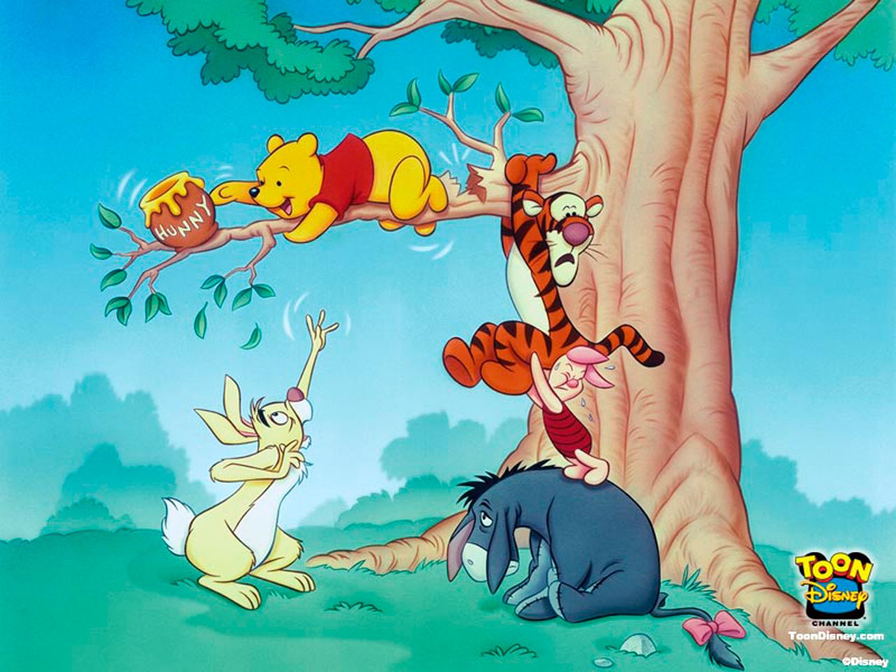 Les Nouvelles Aventures de Winnie l'Ourson : Les Nouvelles Aventures de