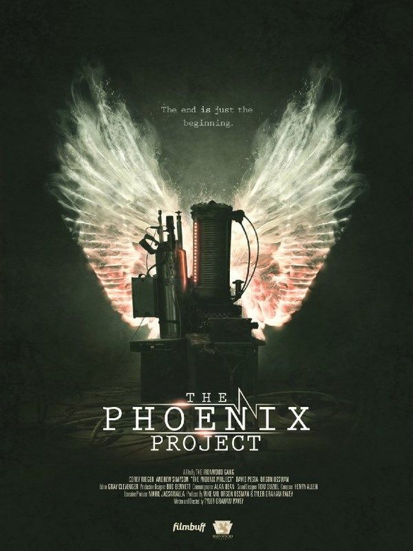The Phoenix Project streaming fr