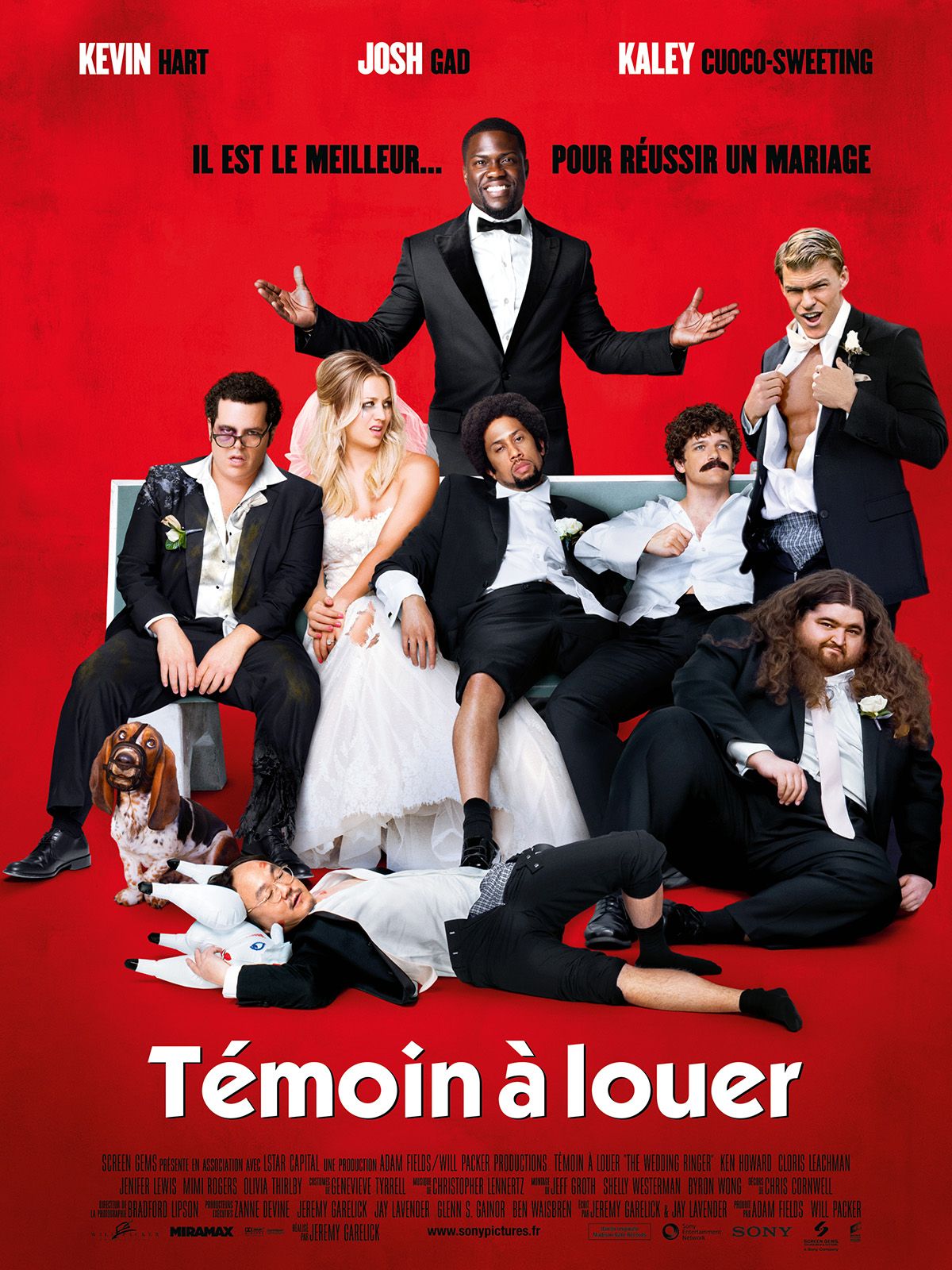 Témoin à louer streaming fr