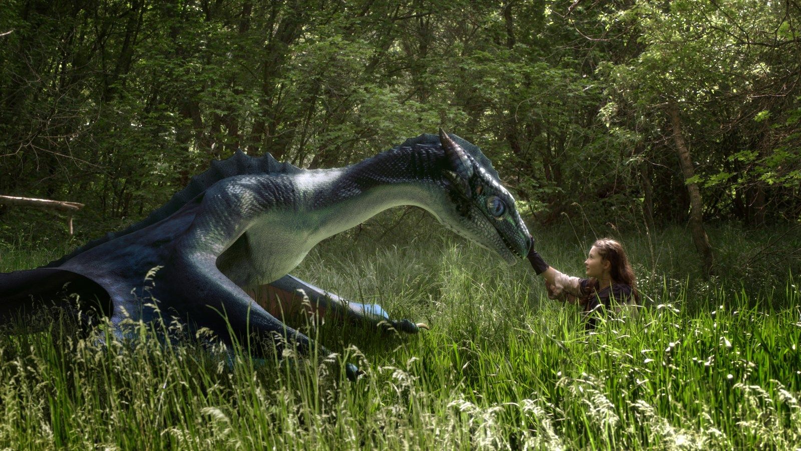Photo du film Dragon - les aventuriers du royaume de Dramis - Photo 5