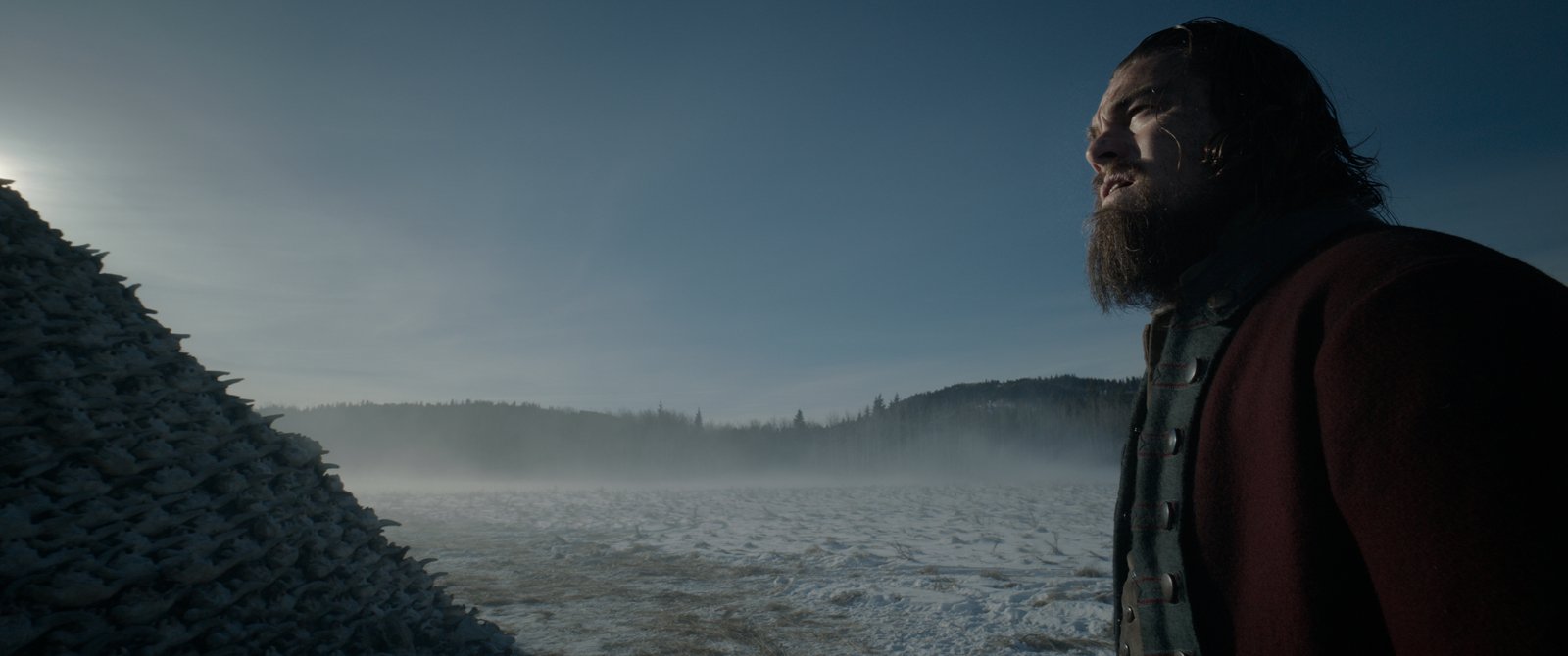 Photo Du Film The Revenant Photo 31 Sur 35 Allociné 