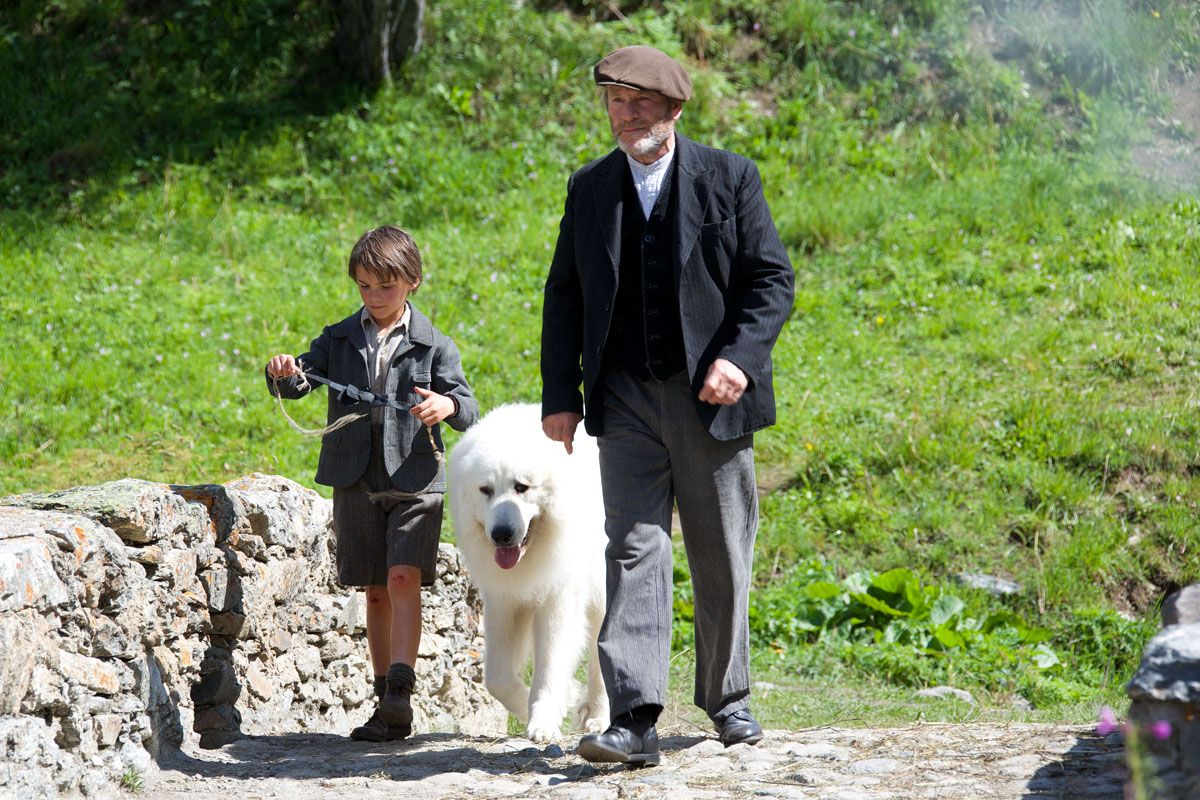 Photo du film Belle et Sébastien : L'aventure continue - Photo 41 sur