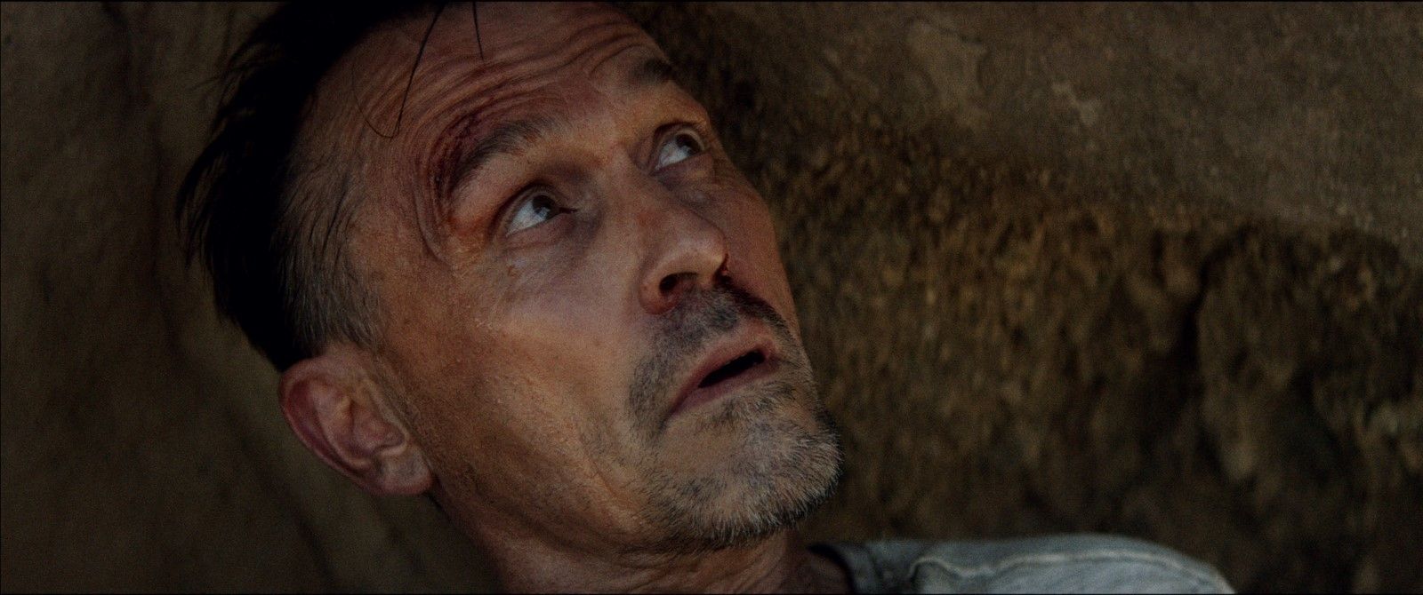 Films Et Séries Tv Avec Robert Knepper Photo de Robert Knepper - Where Is Rocky II? : Photo Robert Knepper