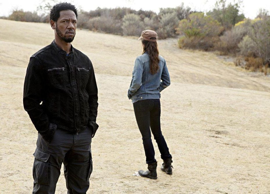 Photo de Tory Kittles Colony Photo Tory Kittles Photo 22 sur 51