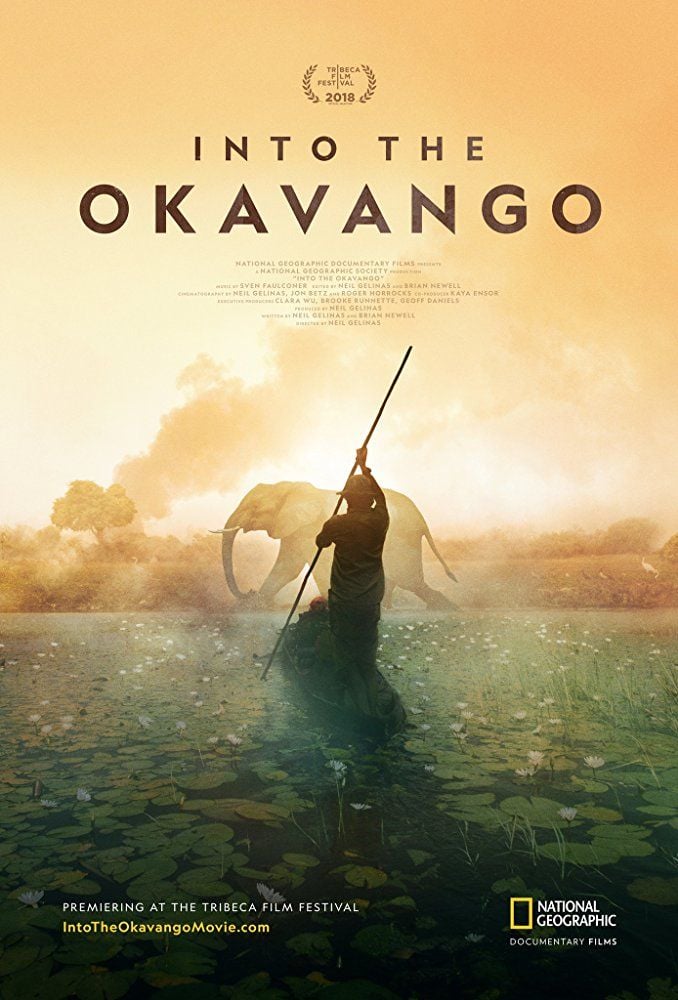 Au cœur de l'Okavango