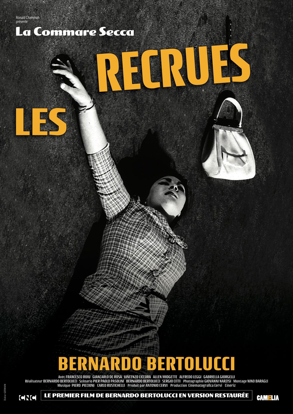 Les Recrues streaming gratuit