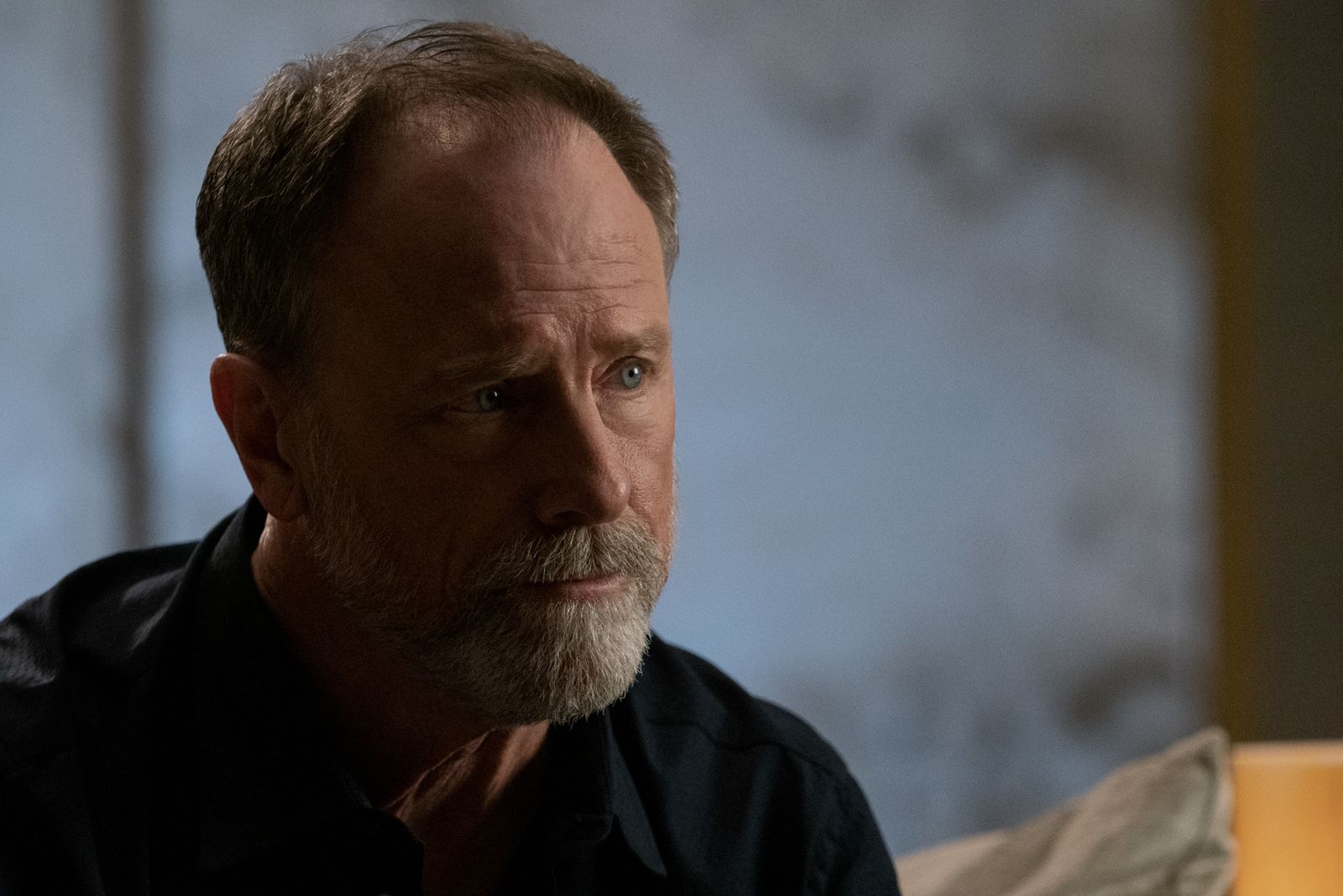 Films Et Séries Tv Avec Louis Herthum
