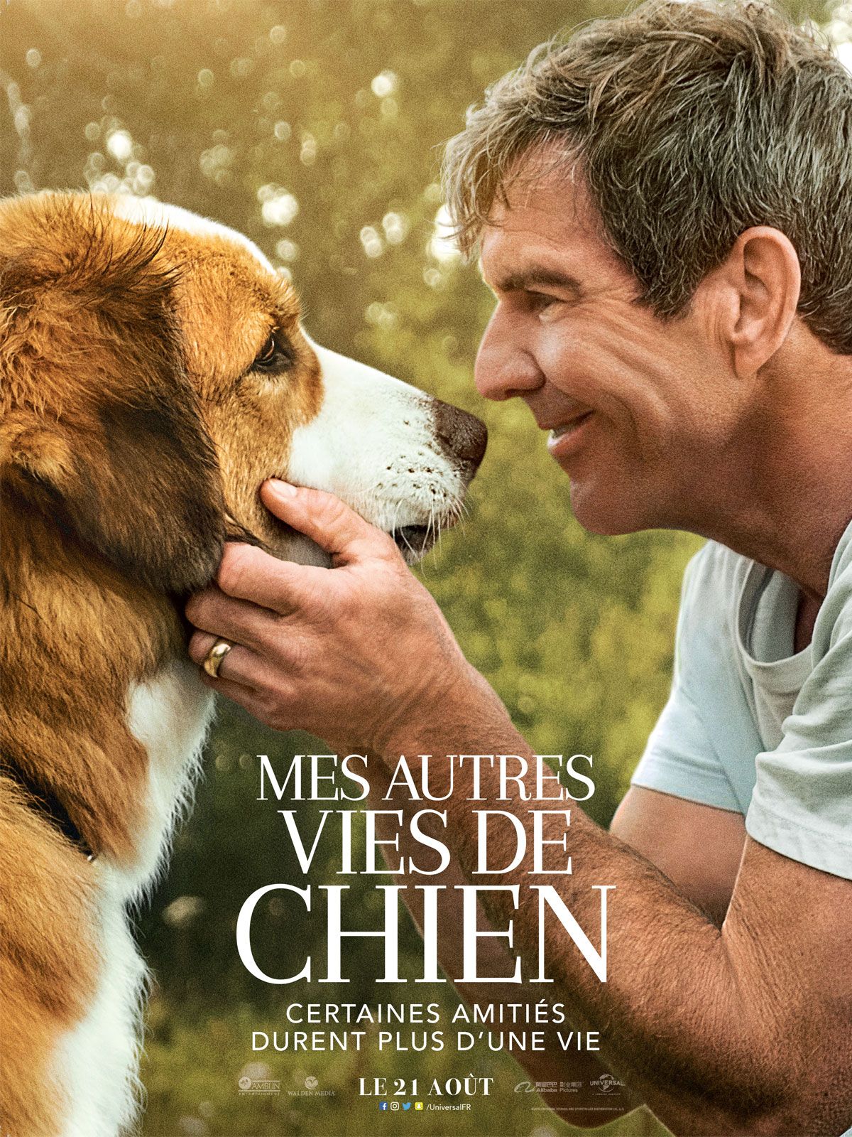 Mes autres vies de chien film 2019 AlloCiné