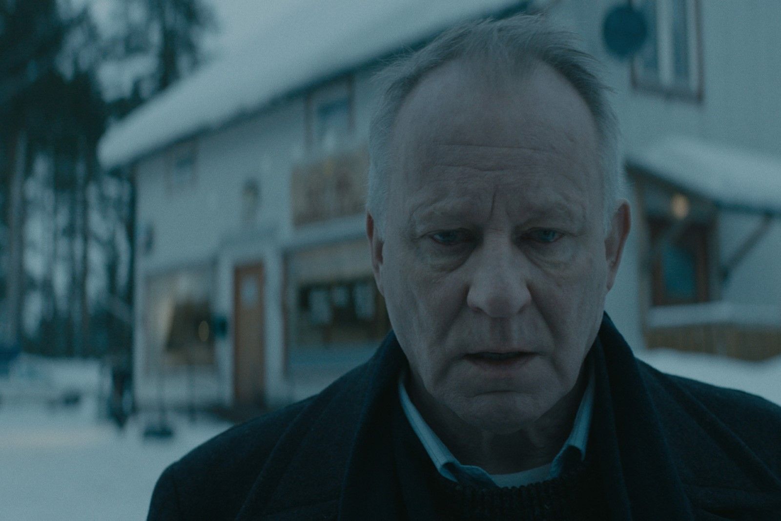 Films Et Séries Tv Avec Stellan Skarsgård Photo de Stellan Skarsgård - Ut og stjæle hester : Photo Stellan