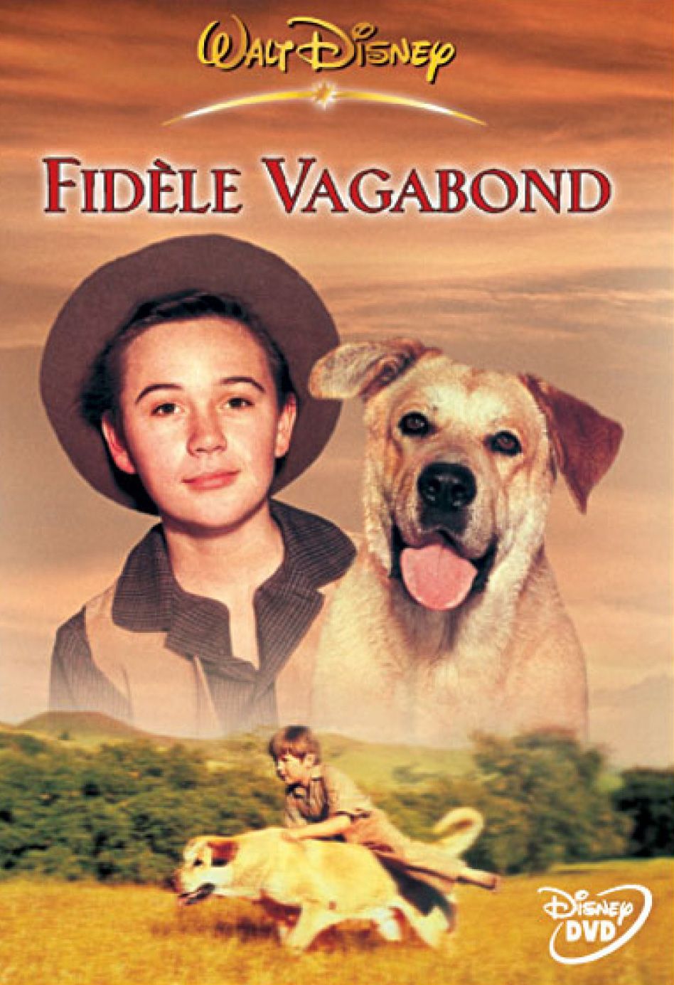 Fidèle vagabond streaming gratuit