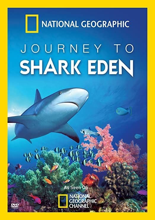 Le paradis des requins