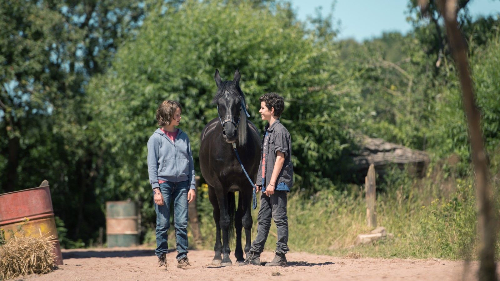 Photo du film Whisper 5 : Le grand ouragan - Photo 29 sur 33 - AlloCiné