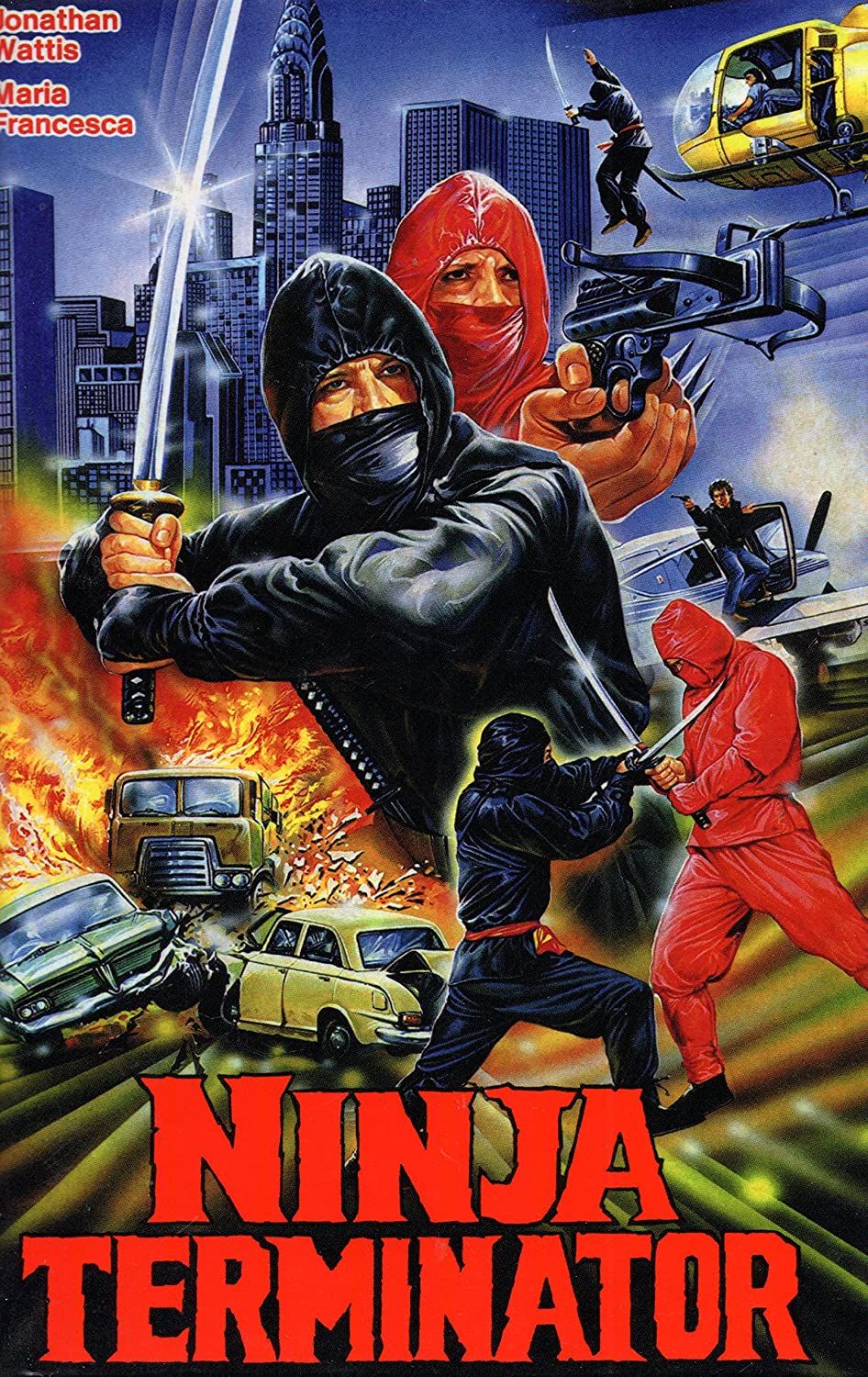 Ninja Terminator streaming fr