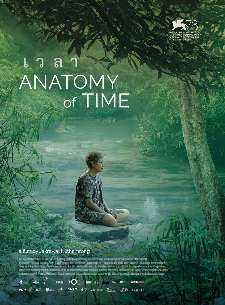 ANATOMY OF TIME